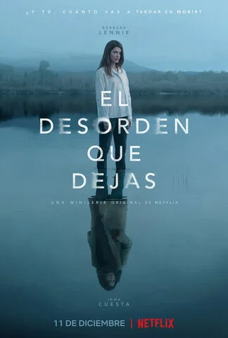 Беспорядок после тебя постер